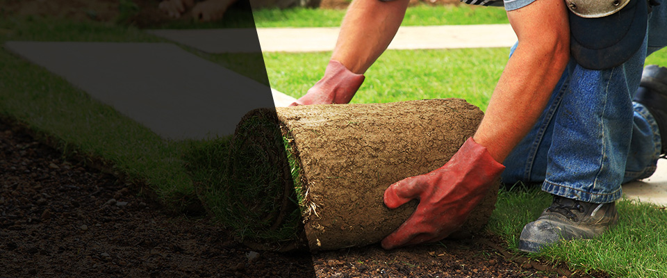Gotha Landscapers